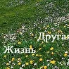 Другая жизнь