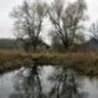 Александр Иванихин