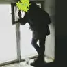 ChameleonP