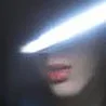 i n t e r p o l i n