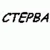 Ниггативные