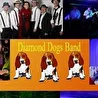 группа_Diamond Dogs