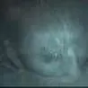 4.44