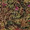 Misanthropic Breath