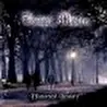 Twilight Mystery