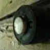 орхид