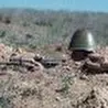 Б. Береговой