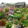 Павел А.Маленёв. Авторские сюжетные песни