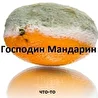 Gospodin Mandarin