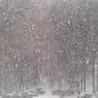 massiv