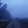 Тимофей Малышев