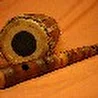 Сякухати Цвет