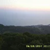 алекс гриф