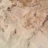 Без планеты.