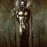 Nocturnal Wrath