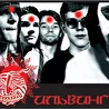 ИЛЬВИНГИ