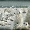 додвсуд