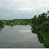 Embutido