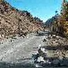 Сайгак_Юля Баталёва