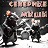 СевернЫе МышЫ