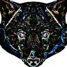 AVIDHEAD