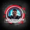Роман Синицын (DJ СИНИЦЫН)