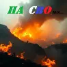 Вот такая жизнь.