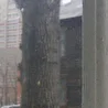 ПРИНЦИП ДЕТЕРМИНИЗМА