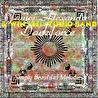 James Alexander Darkforce & Win-1251 Studio Band