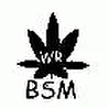 BSM