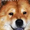Shining FM