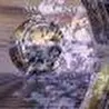 Lord_J