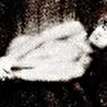 Berkana06