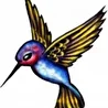 Kolibri (pestis music)