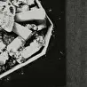 люди просто плюются