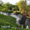 Роман НБ