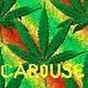 CAROUSE