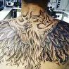 Fenix