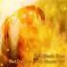 T.D Black Sun