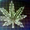 D.Plan Clan