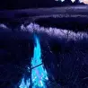 LEFT -шиза