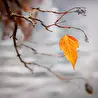 Людмила  Кичигина _  Ангел - Online. (Музыкальная группа..)⭐⭐⭐⭐⭐