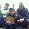 Инсайт