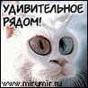 Akim