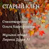 Ольга Кайгородова
