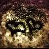 DeZeD