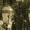 ESEM