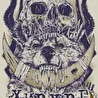 Хирург (SawboneS)