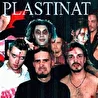 Plastinat