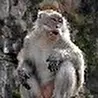 Ананьев Владимир